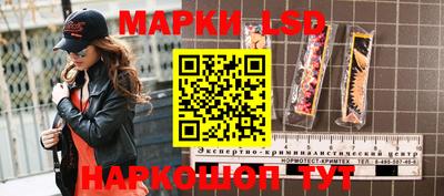 винт Сланцы