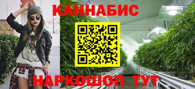 винт Сланцы