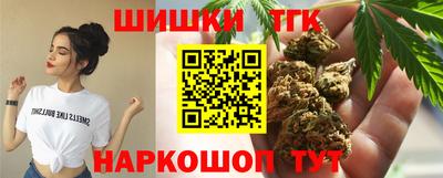 винт Сланцы