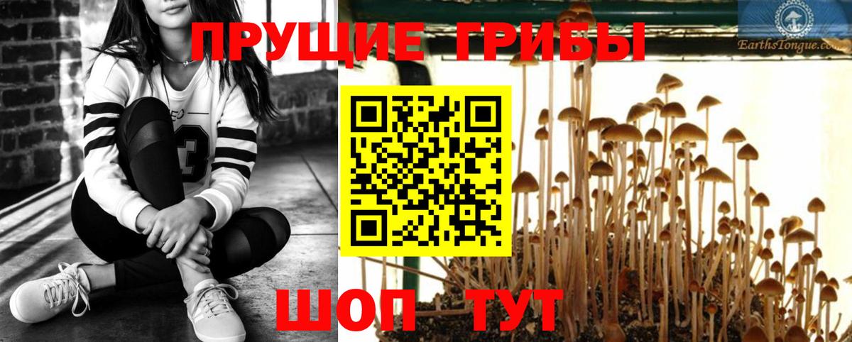 Галлюциногенные грибы прущие грибы Ярцево